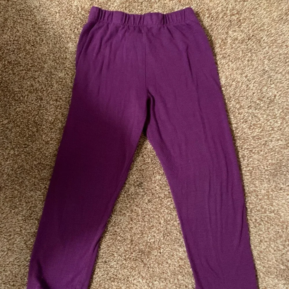 emily rose purple pants 4T
